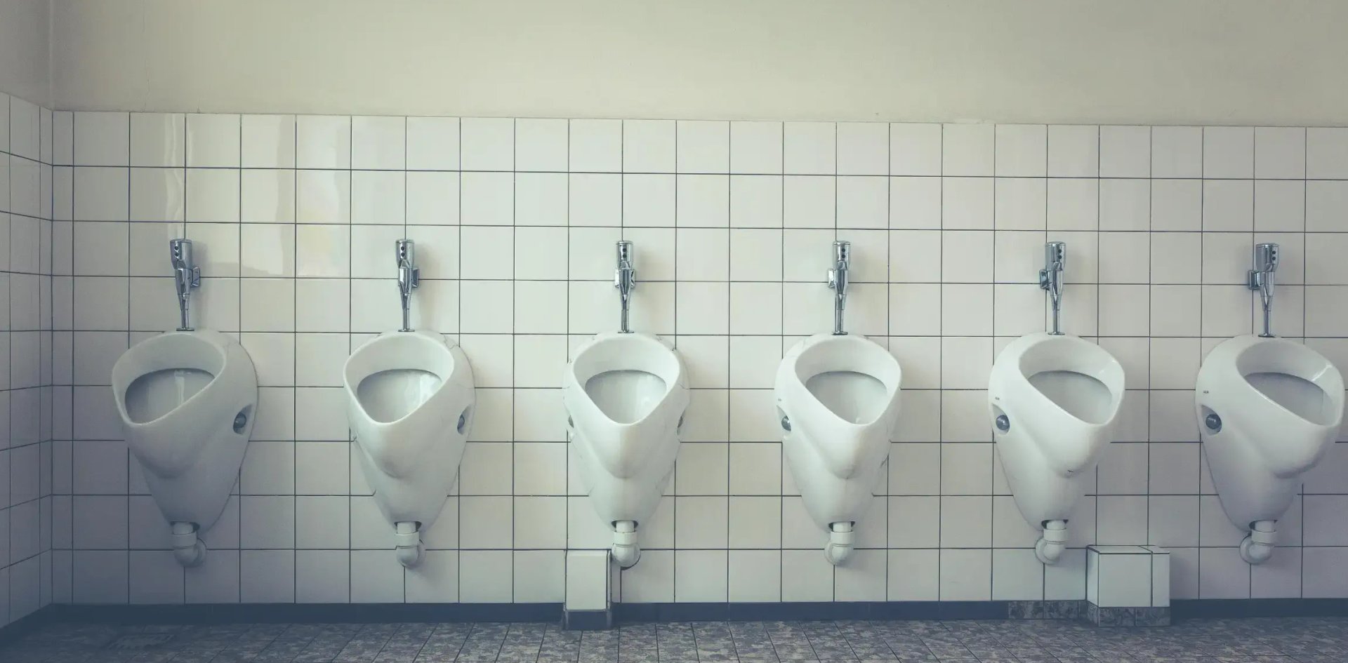 Commercial plumbing installation in a public restroom in Sonoma County